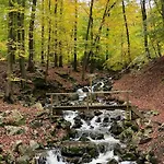 Au Coin Des Sources B&B Sart-Lez-Spa