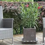 Au Coin Des Sources B&B Sart-Lez-Spa 3*