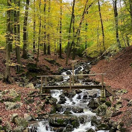Au Coin Des Sources